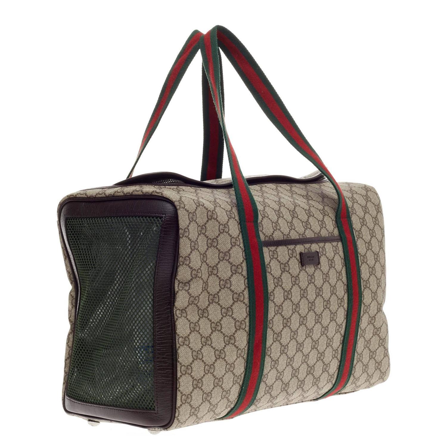 Gucci pet carrier dogs for sale